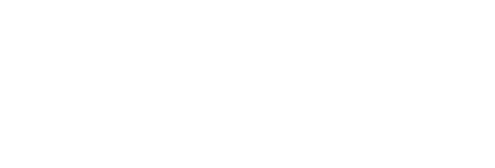 dailyHodl